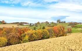 Biohof Koller